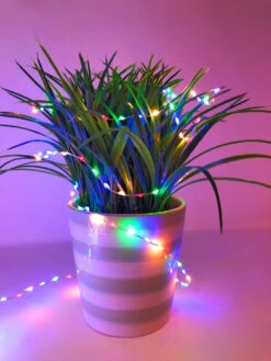 Lumineo 378 Micro LED Multi-Colored LED Lights Silver Wire -Holiday Supplies 072831 on a plant 54683.1605049271