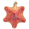Old World Christmas - Red Starfish Ornament 2 Old World Christmas - Red Starfish Ornament -Holiday Supplies 119 Untitled design 59060.1649418691