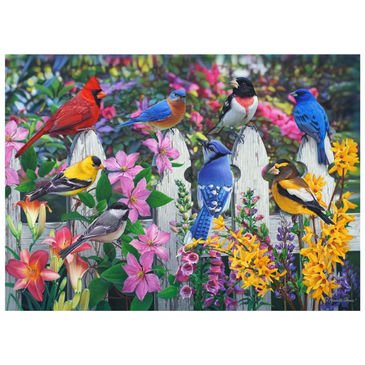 1000 Piece Songbirds Jigsaw Puzzle 3 1000 Piece Songbirds Jigsaw Puzzle