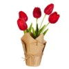 10.75" Real Touch Red Potted Tulips
