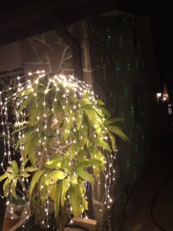 Lumineo 440 Micro LED Warm White Cascading Flashing Lights Silver Wire -Holiday Supplies 440 Cascade 38788.1572475248