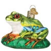 Old World Christmas - Red-Eyed Tree Frog Glass Ornament -Holiday Supplies 71 Untitled design 1 48886.1656610650