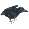 Standing Crow With Feathers -Holiday Supplies 810999 Standing Crow With Feathers 53382.1661968055