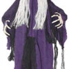 Animated Standing Witch -Holiday Supplies 818658 04606.1588367135