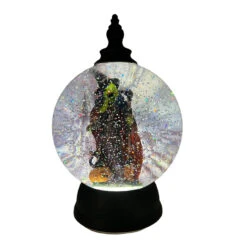 Water Globe With Witch Inside That Lights Up