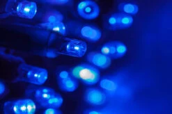 Lumineo 750 LED Blue Lights Green Wire 8 Lumineo 750 LED Blue Lights Green Wire -Holiday Supplies Best Blue LED Christmas Lights 960x639 05246.1571347367