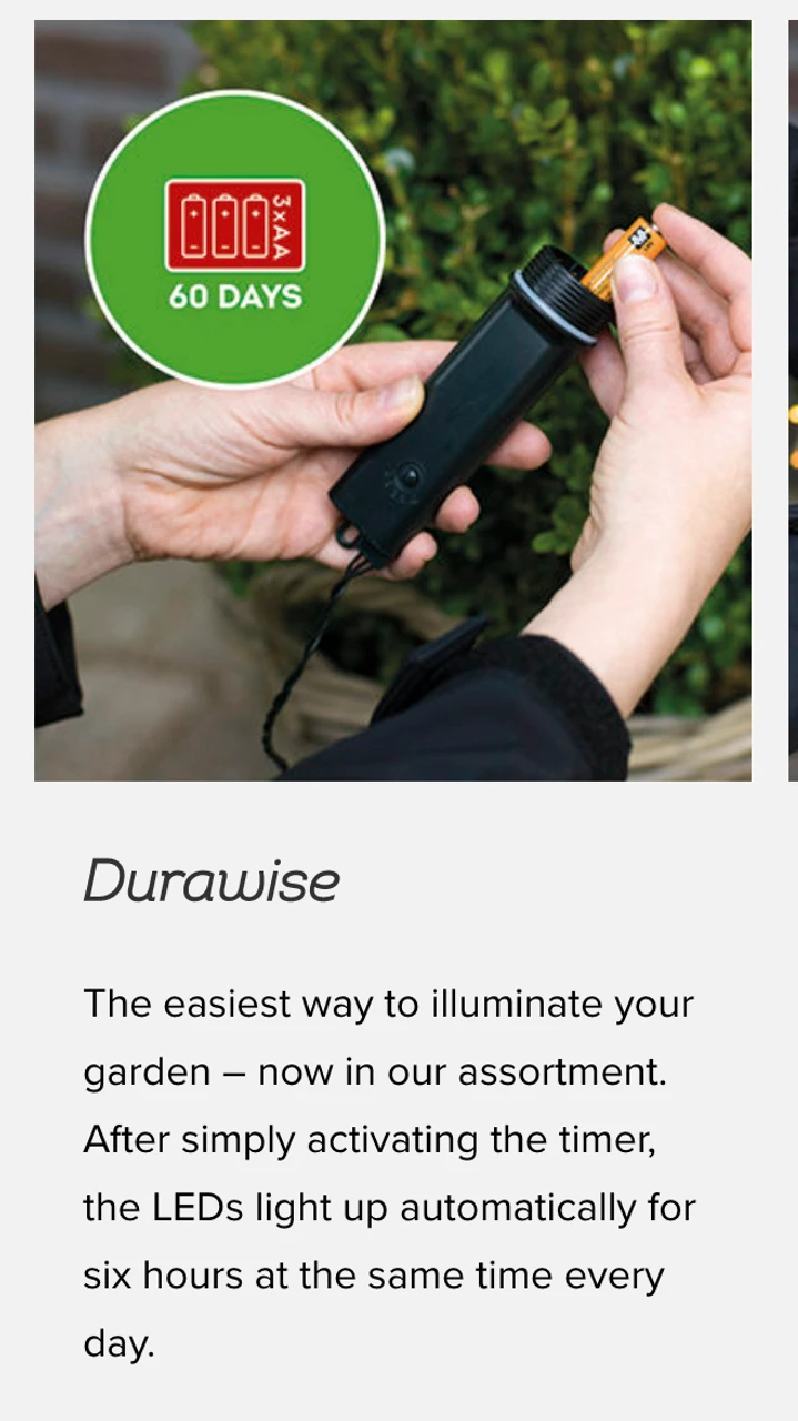 Lumineo 48 LED Warm White Twinkle Lights Black Wire 7 Lumineo 48 LED Warm White Twinkle Lights Black Wire - Image 5