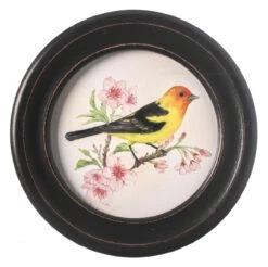 10" Wood Round Frame Bird Print Y/O/B