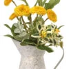 Yellow Button Aster In Watering Can -Holiday Supplies Yellow Watercan 00186.1610998650