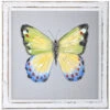 Butterfly Screen, Front Green 2 Butterfly Screen, Front Green -Holiday Supplies fullsizeoutput 9 08956.1580230061