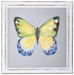 Butterfly Screen, Front Green