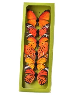 Orange Fabric Butterfly Box Of 6